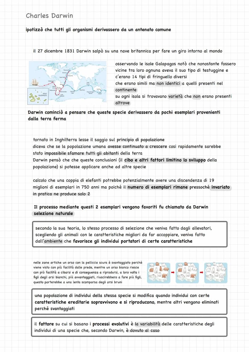 LE PRIME TEORIE
EVOLUZIONISTICHE
le prime teorie (300 a.C.)
Aristotele credava che gli esseri viventi fossero sempre esistiti e fossero immu