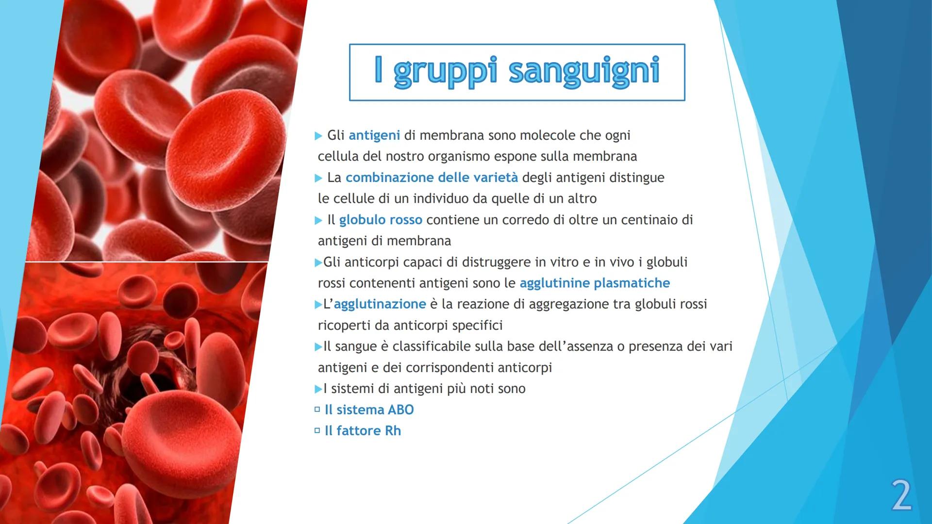 # I gruppi sanguigni e il 
# fattore Rh

Pieralisi Aurora 3A

1 # I gruppi sanguigni

► Gli antigeni di membrana sono molecole che ogni
cell