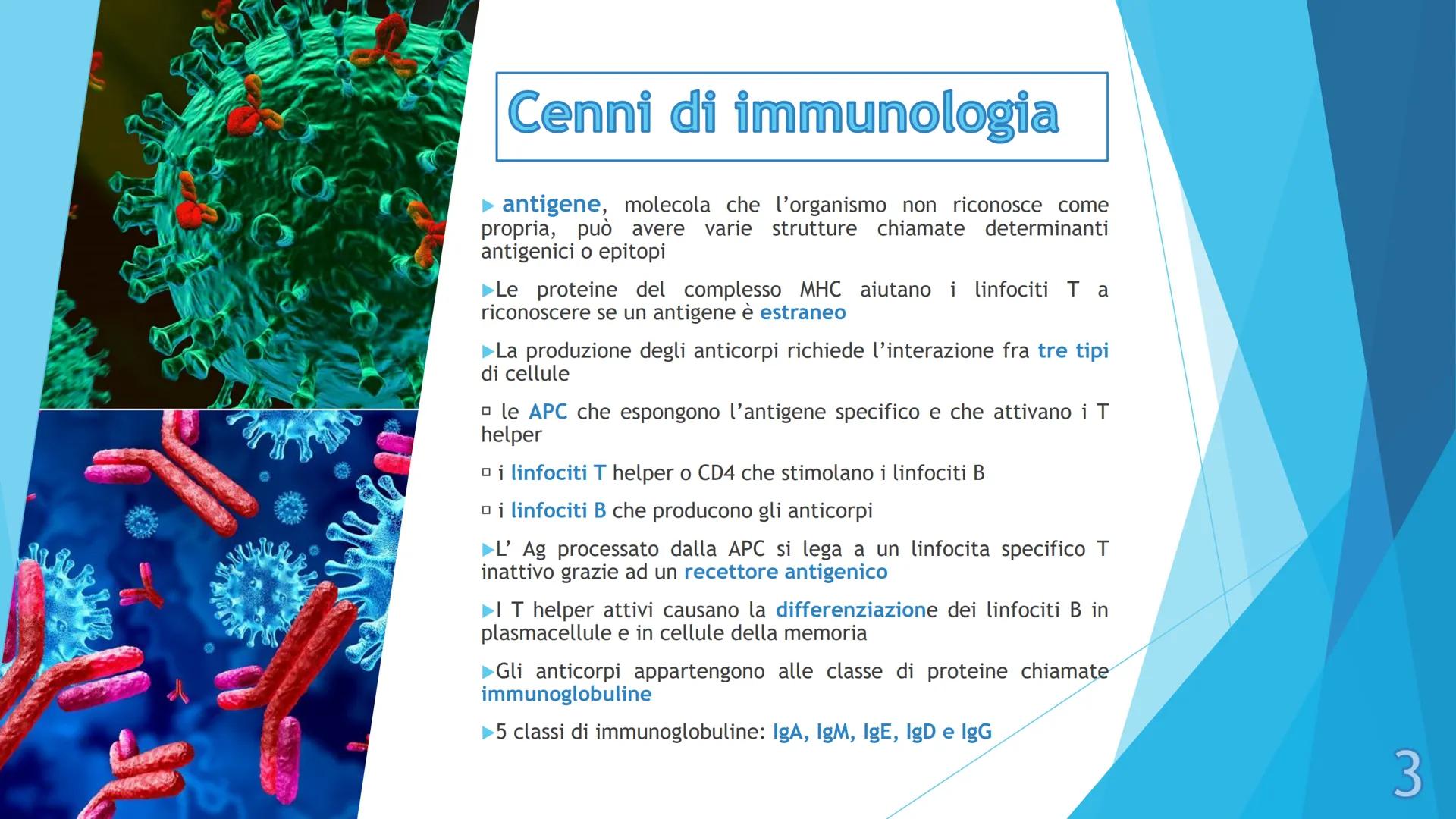 # I gruppi sanguigni e il 
# fattore Rh

Pieralisi Aurora 3A

1 # I gruppi sanguigni

► Gli antigeni di membrana sono molecole che ogni
cell