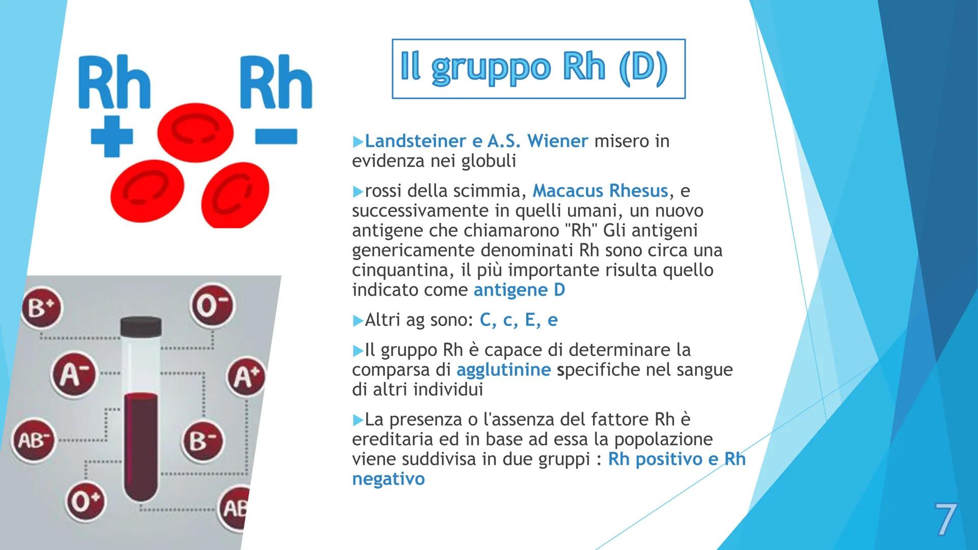 # I gruppi sanguigni e il 
# fattore Rh

Pieralisi Aurora 3A

1 # I gruppi sanguigni

► Gli antigeni di membrana sono molecole che ogni
cell