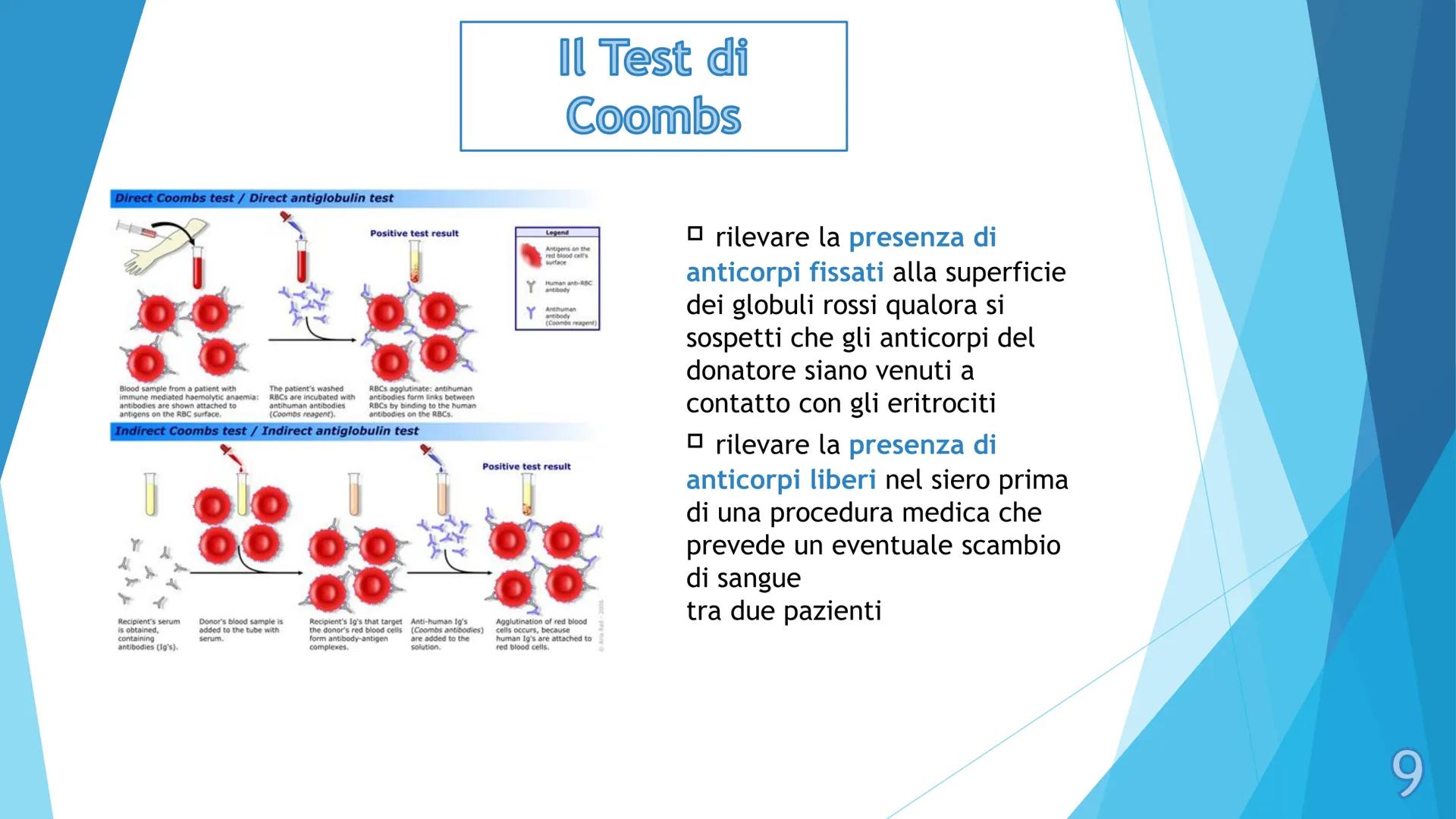 # I gruppi sanguigni e il 
# fattore Rh

Pieralisi Aurora 3A

1 # I gruppi sanguigni

► Gli antigeni di membrana sono molecole che ogni
cell
