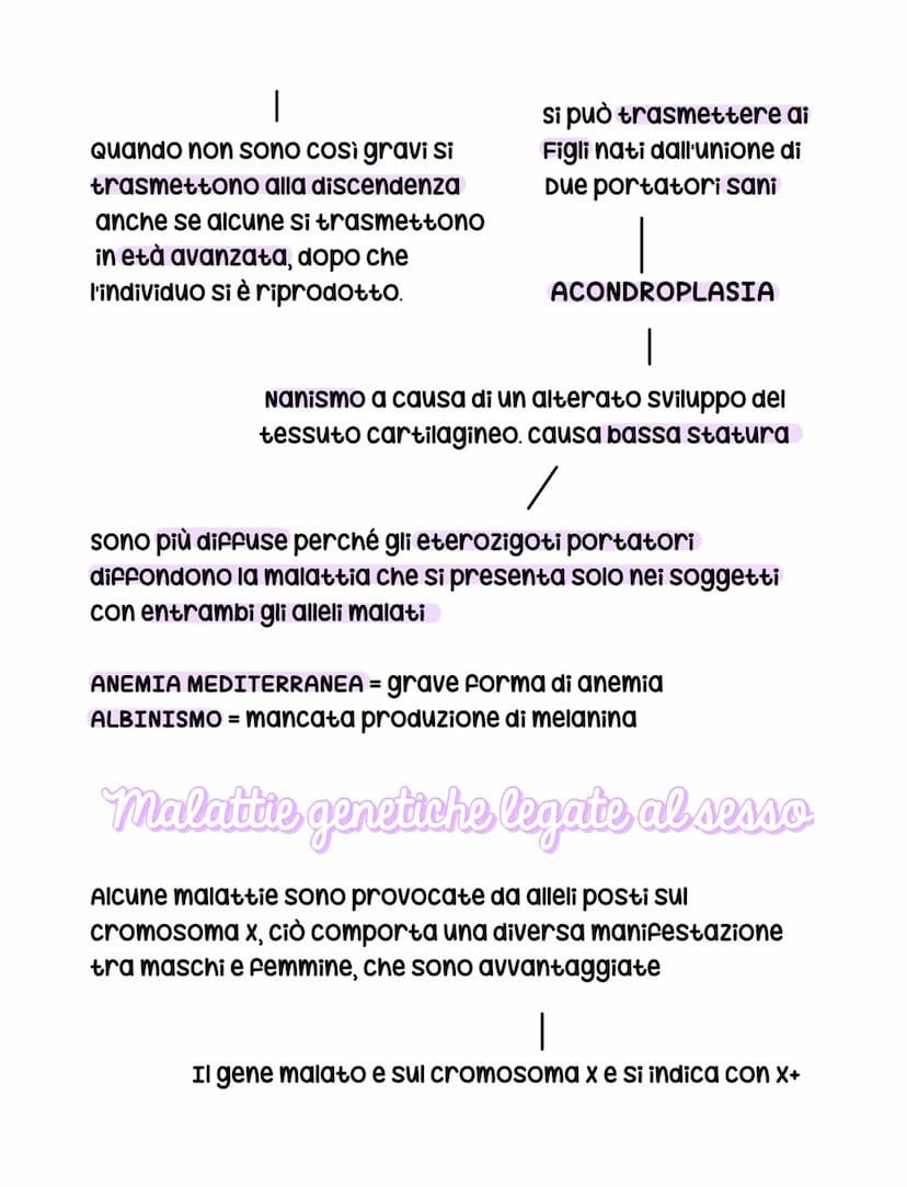 
<p>Quello che Mendel chiamava "Fattori ereditari" oggi viene chiamato geni, che sono frammenti di DNA con 2 coppie di cromosomi omologhi.</