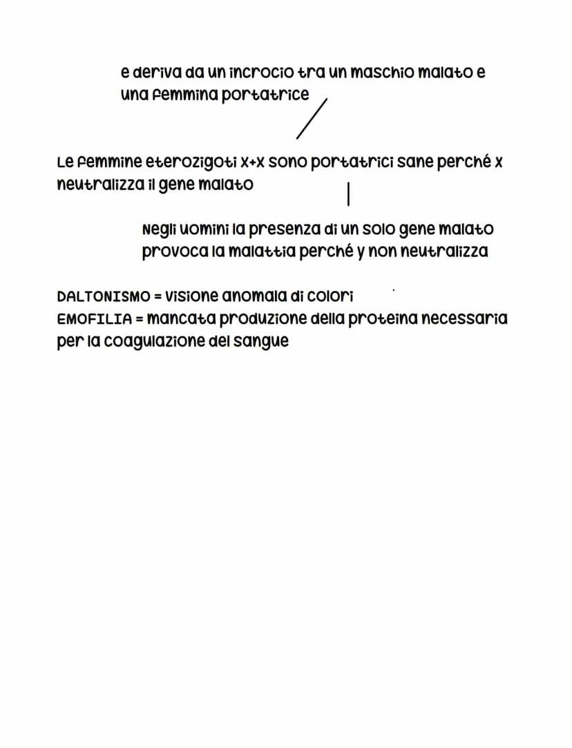 
<p>Quello che Mendel chiamava "Fattori ereditari" oggi viene chiamato geni, che sono frammenti di DNA con 2 coppie di cromosomi omologhi.</
