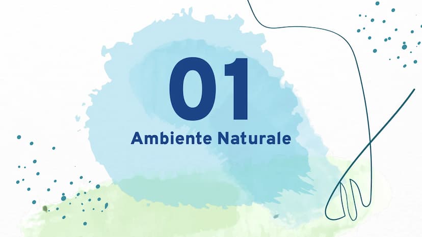 331340
ORKY
LORADO
SLOVENIA
Fatto da Vihari Wijesuriya, Emma Benecchi, Diego Pereira 01
04
INDICE DEI CONTENUTI
Ambiente
naturale
economia
0