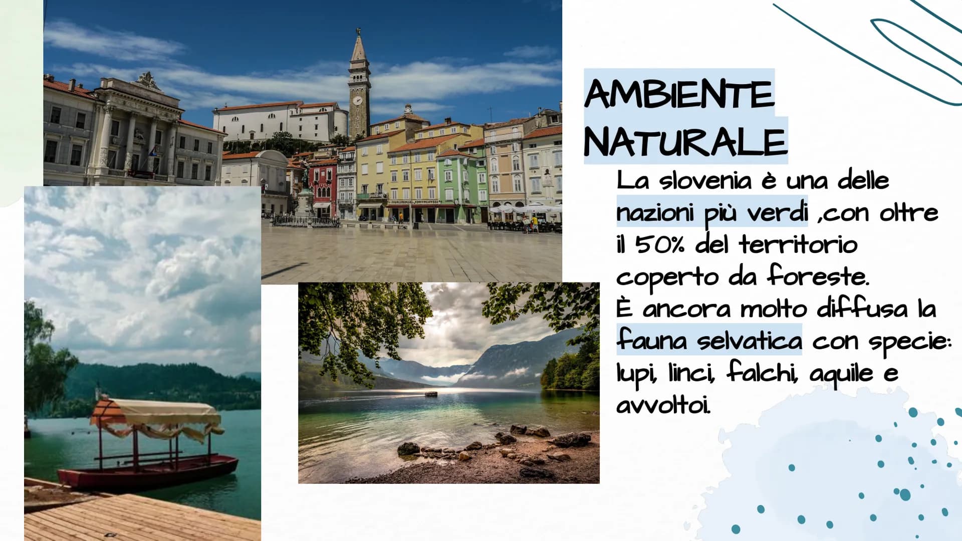 331340
ORKY
LORADO
SLOVENIA
Fatto da Vihari Wijesuriya, Emma Benecchi, Diego Pereira 01
04
INDICE DEI CONTENUTI
Ambiente
naturale
economia
0