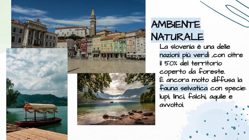 331340
ORKY
LORADO
SLOVENIA
Fatto da Vihari Wijesuriya, Emma Benecchi, Diego Pereira 01
04
INDICE DEI CONTENUTI
Ambiente
naturale
economia
0