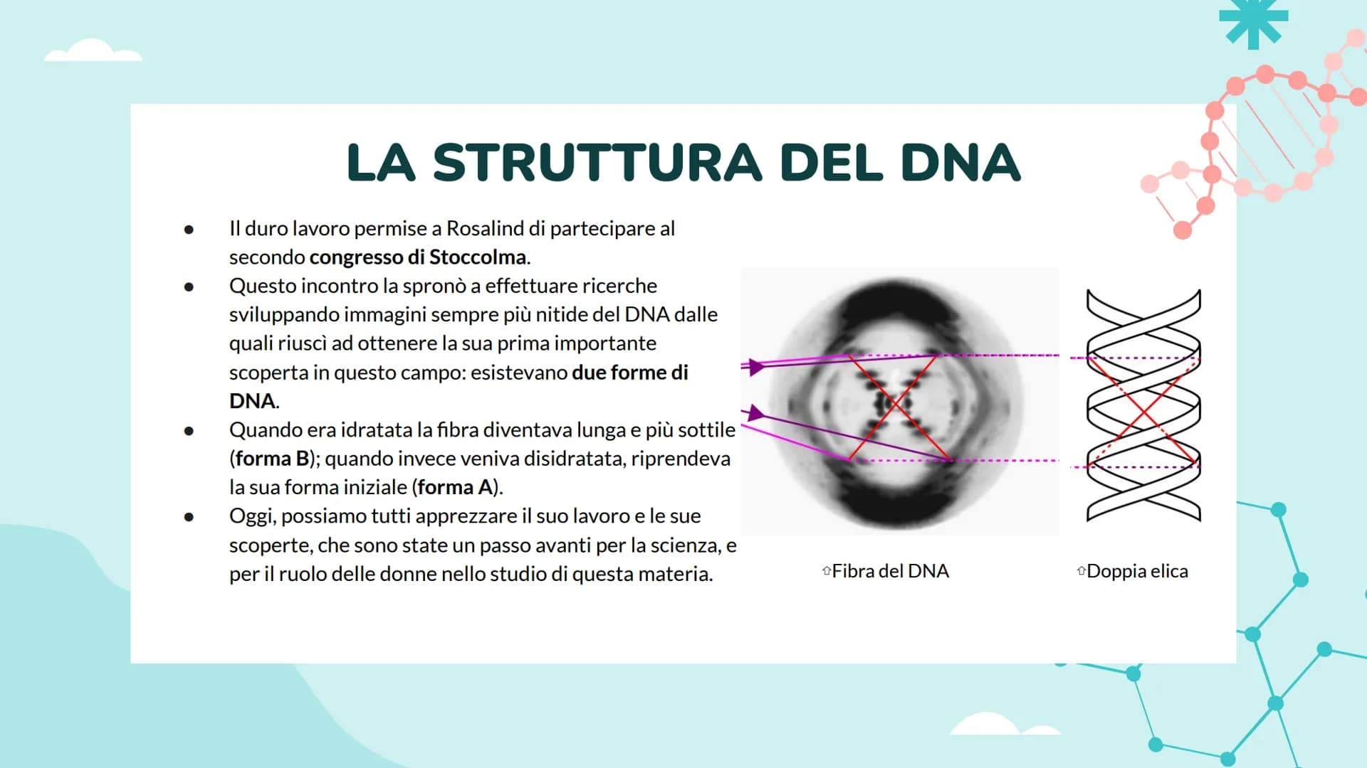 ROSALIND FRANKLIN
Luce Joan Ruffato
2ªE 01
CHI É
ROSALIND
FRANKLIN? ●
●
BIOGRAFIA
Rosalind Elsie Franklin, nacque il 25 luglio 1920 e fu una