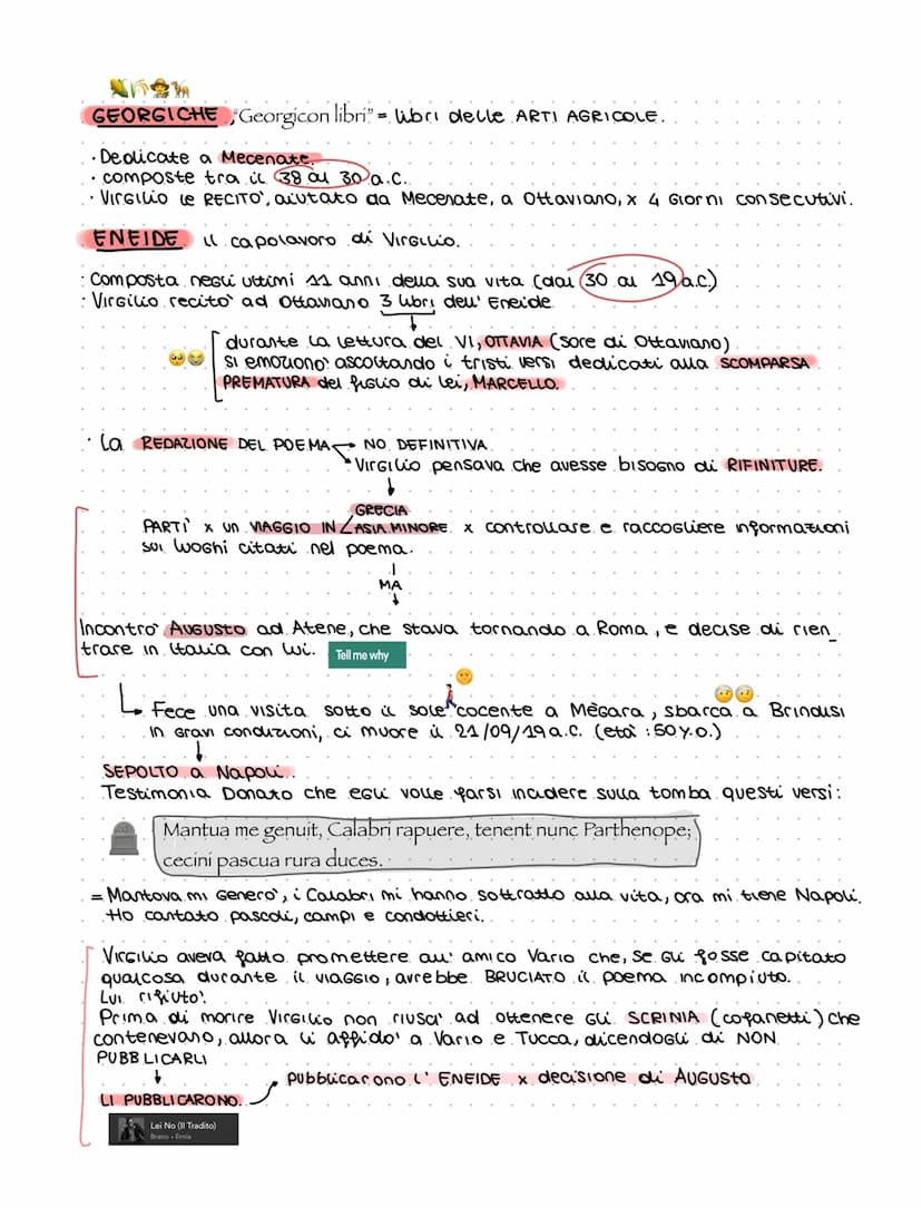 VIRGILIO
nasce nel 70a.C ad ANDES (l'odierna
Piètole), vicino a Mantova
Era figlio di un PICCOLO
PROPRIETARIO TERRIERO,
ma ebbe un'ISTRUZION
