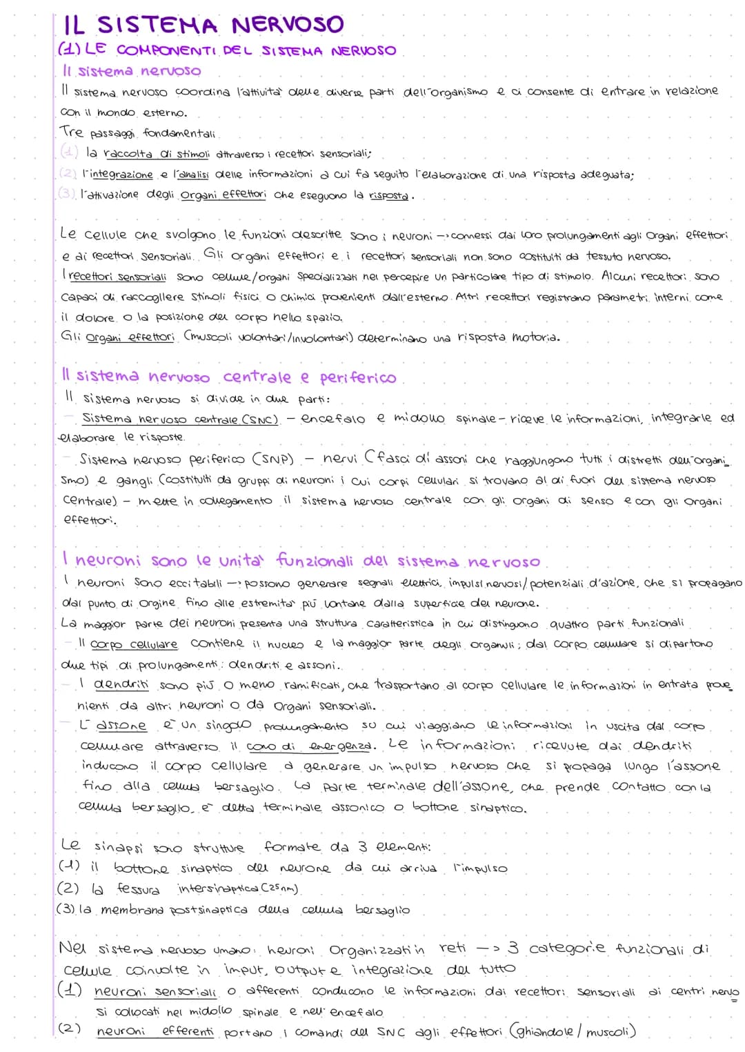 IL SISTEMA NERVOSO
(1) LE COMPONENTI DEL SISTEMA NERVOSO
Il sistema nervoso
Il sistema nervoso coordina l'attivita' delle diverse parti dell
