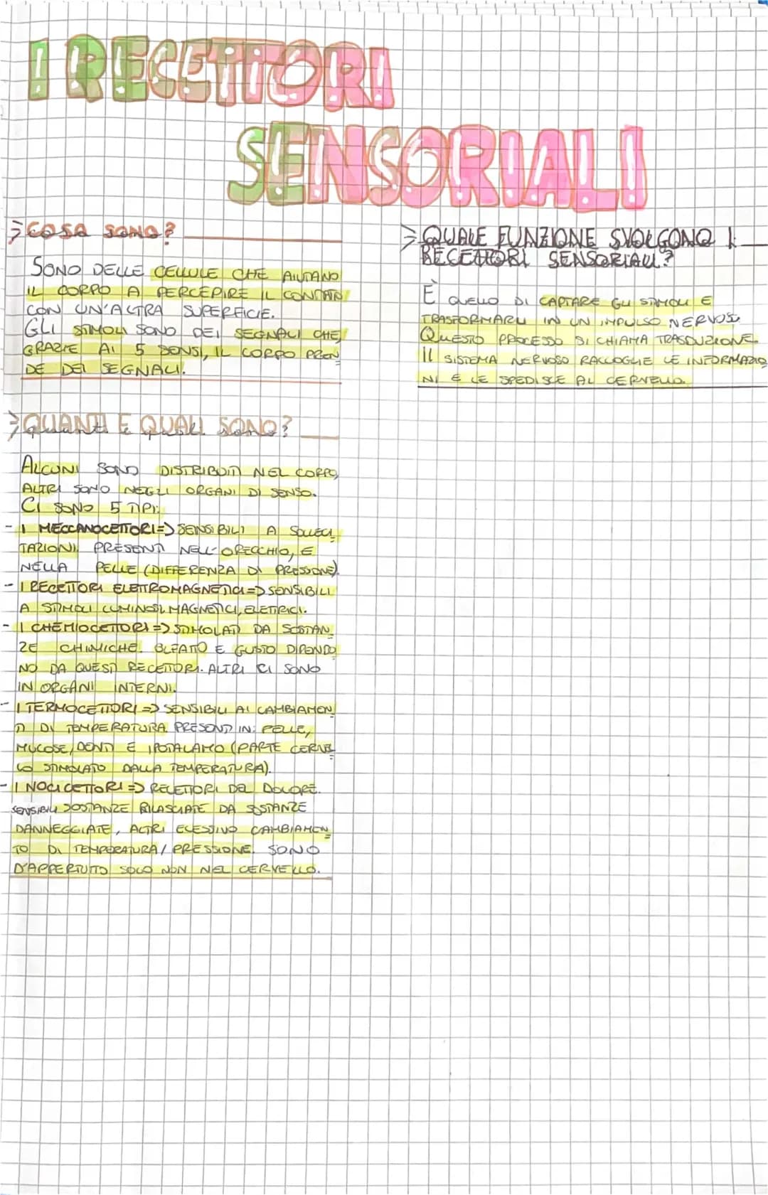 Scopri I Recettori Sensoriali e l'Anatomia dell'Occhio