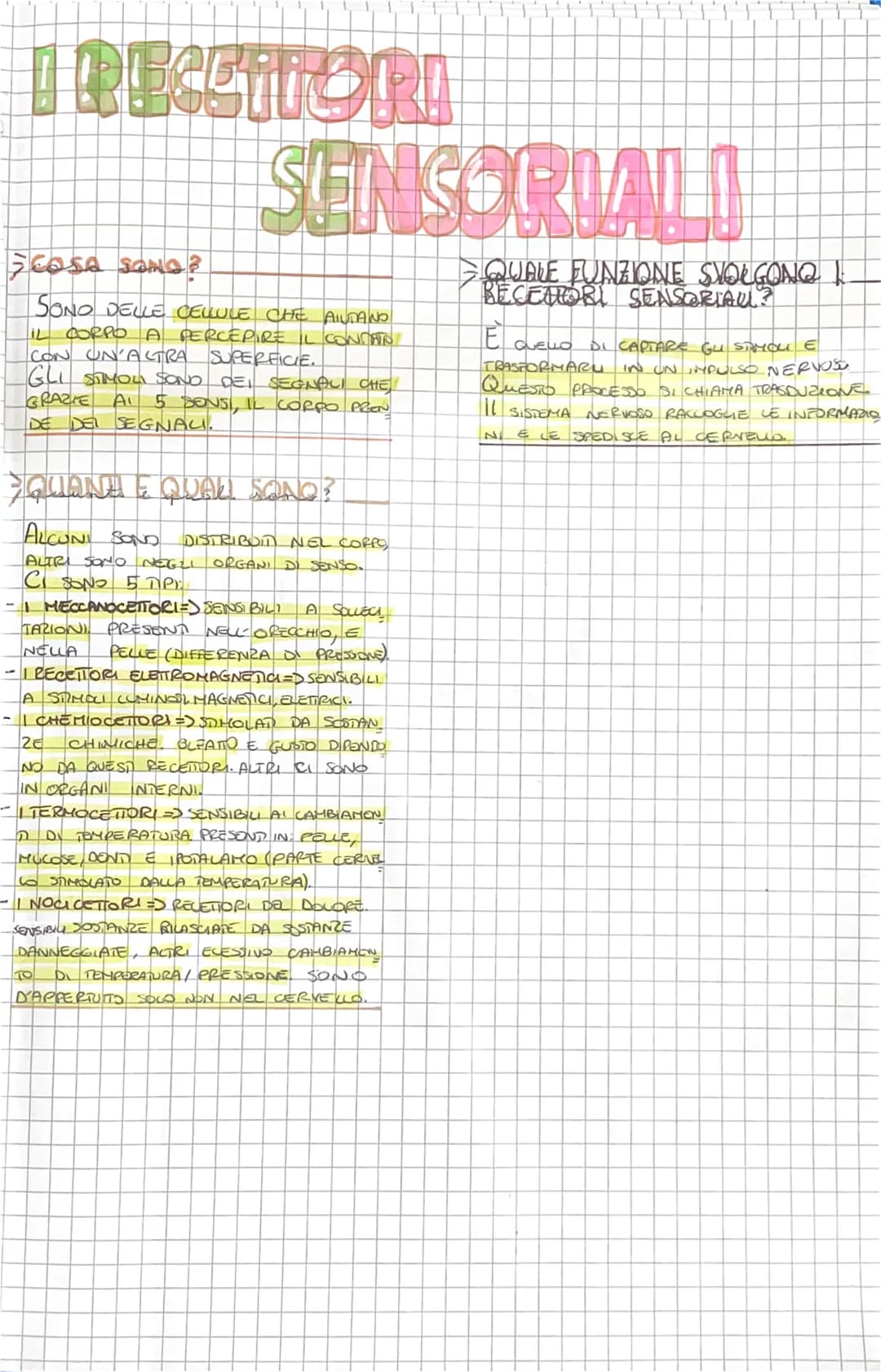 I RECETTORI
SENSORIALI
FEOSA SONO?
SONO DELLE CELLULE CHE AIUTAND
IL CORPO A PERCEPIRE IL CONTATO
CON UN'ALTRA SUPERFICIE.
GLI STIMOLI SONO 