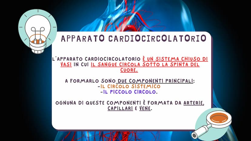 in
12
er
APPARATO CARDIOCIRCOLATORIO
MAGGIONI SOFIA
MISCOV LOREDANA
PINOS LUCREZIA
QUAGLIA ALESSIA
VERGA ANNA www
●
●
INDICE
COS'È?
LE VARIE