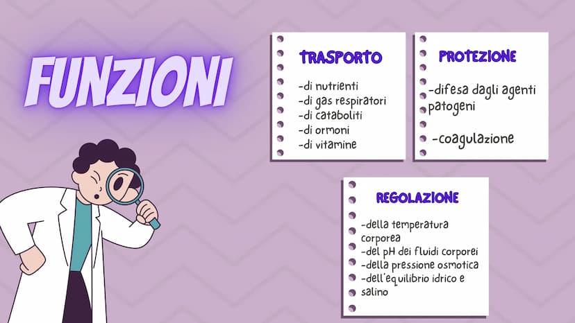 in
12
er
APPARATO CARDIOCIRCOLATORIO
MAGGIONI SOFIA
MISCOV LOREDANA
PINOS LUCREZIA
QUAGLIA ALESSIA
VERGA ANNA www
●
●
INDICE
COS'È?
LE VARIE