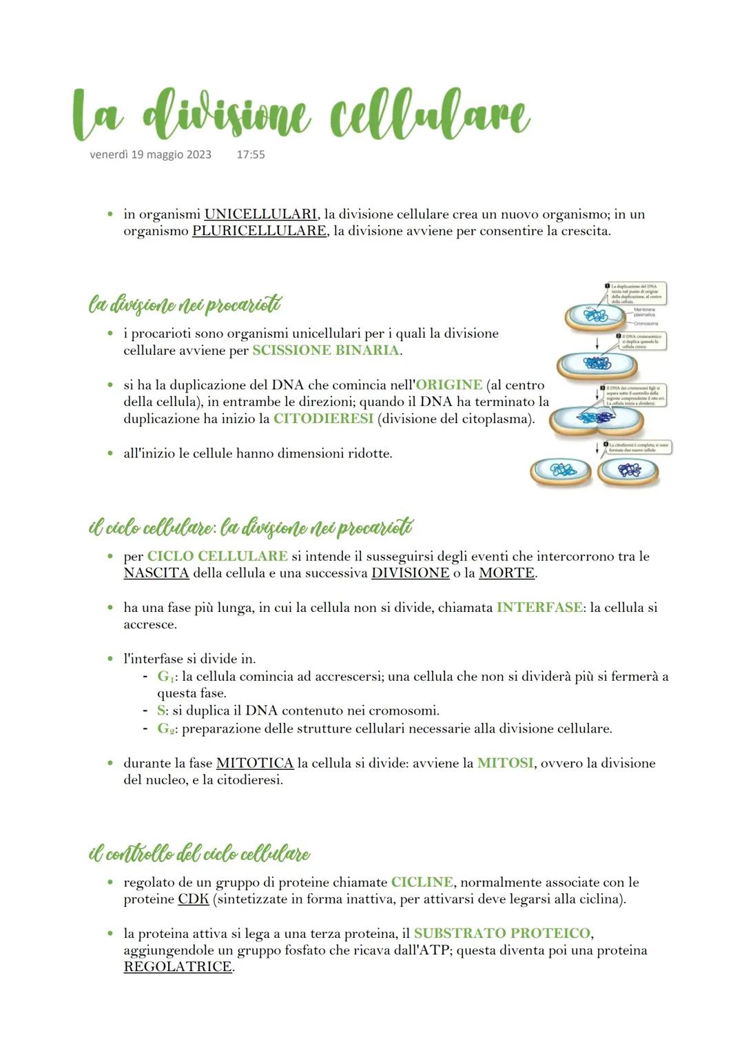 La divisione cellulare: mitosi, meiosi  e gametogenesi