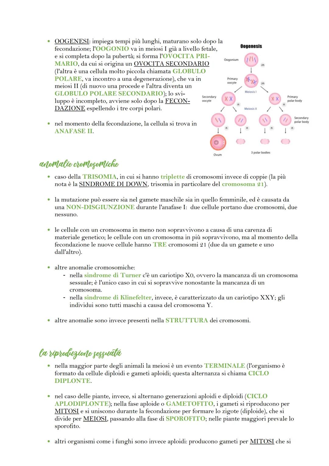 la divisione cellulare
venerdì 19 maggio 2023 17:55
• in organismi UNICELLULARI, la divisione cellulare crea un nuovo organismo; in un
organ