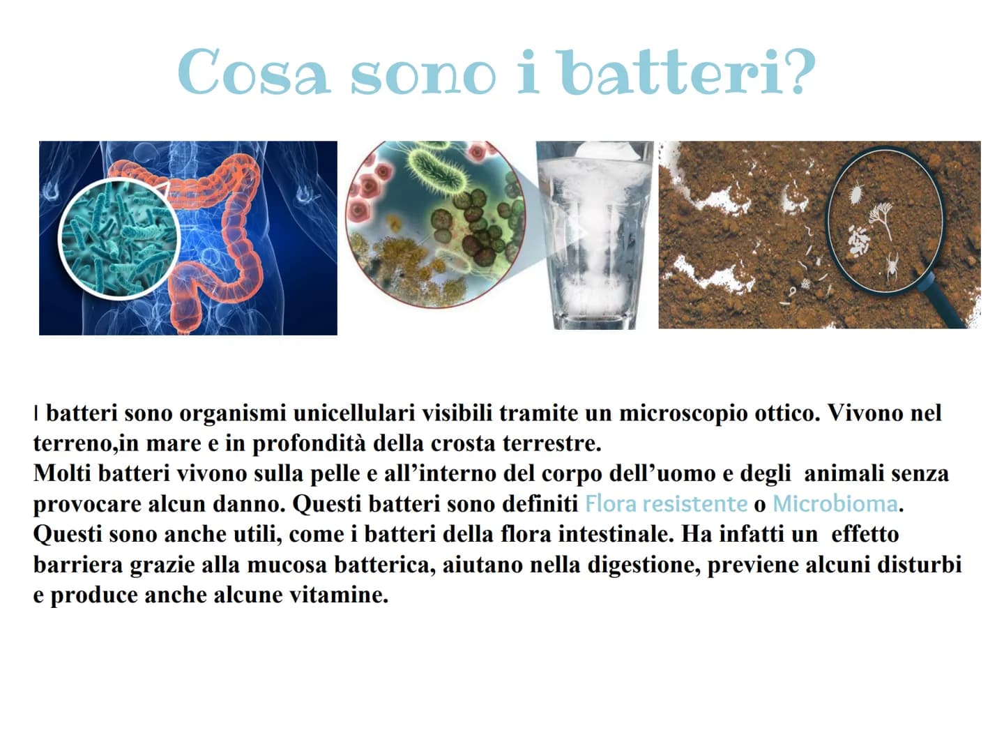 Cosa sono i batteri?
| batteri sono organismi unicellulari visibili tramite un microscopio ottico. Vivono nel
terreno,in mare e in profondit