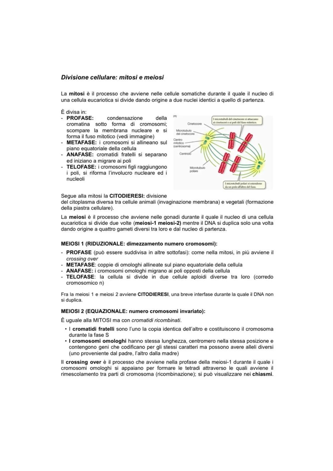 CICLO CELLULARE
Il ciclo vitale di una cellula è definito ciclo cellulare ed è diviso in 4 fasi distinte: GAP1 (G1),
sintesi DNA (S), GAP2 (