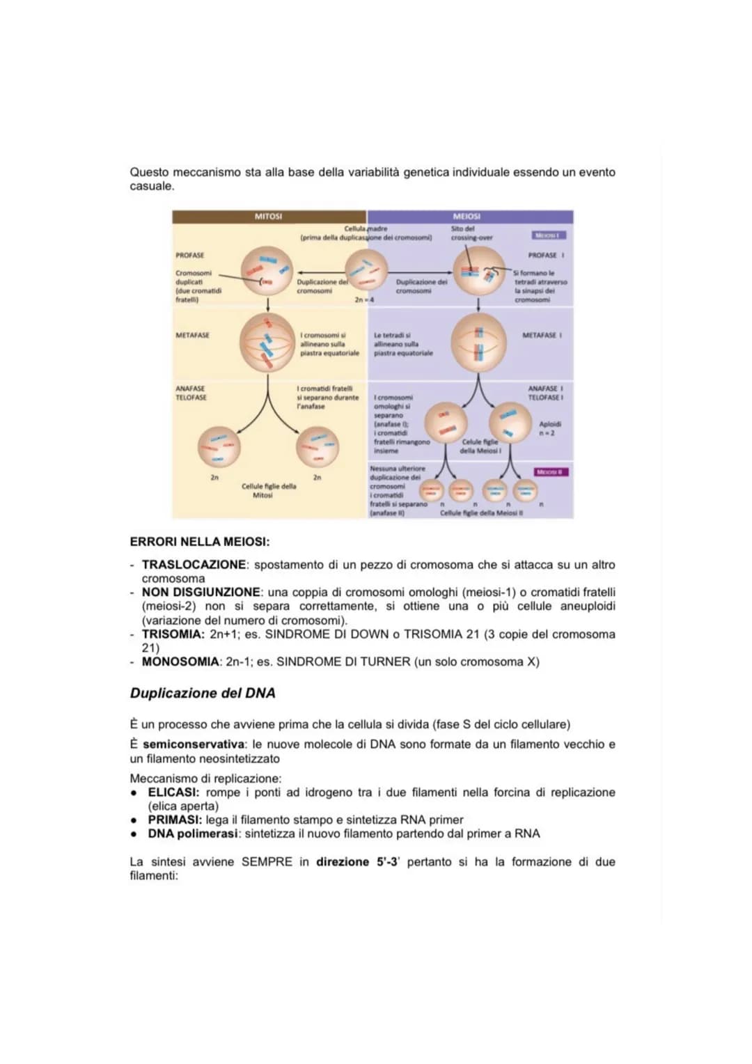 CICLO CELLULARE
Il ciclo vitale di una cellula è definito ciclo cellulare ed è diviso in 4 fasi distinte: GAP1 (G1),
sintesi DNA (S), GAP2 (