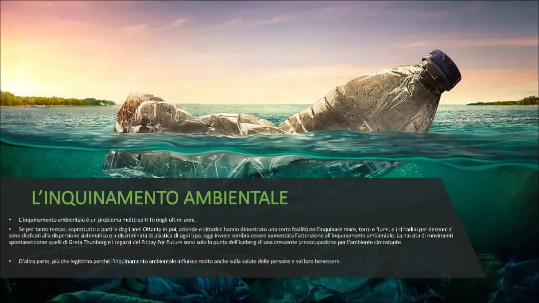 Inquinamento Ambientale: Cause, Conseguenze e Come Ridurlo