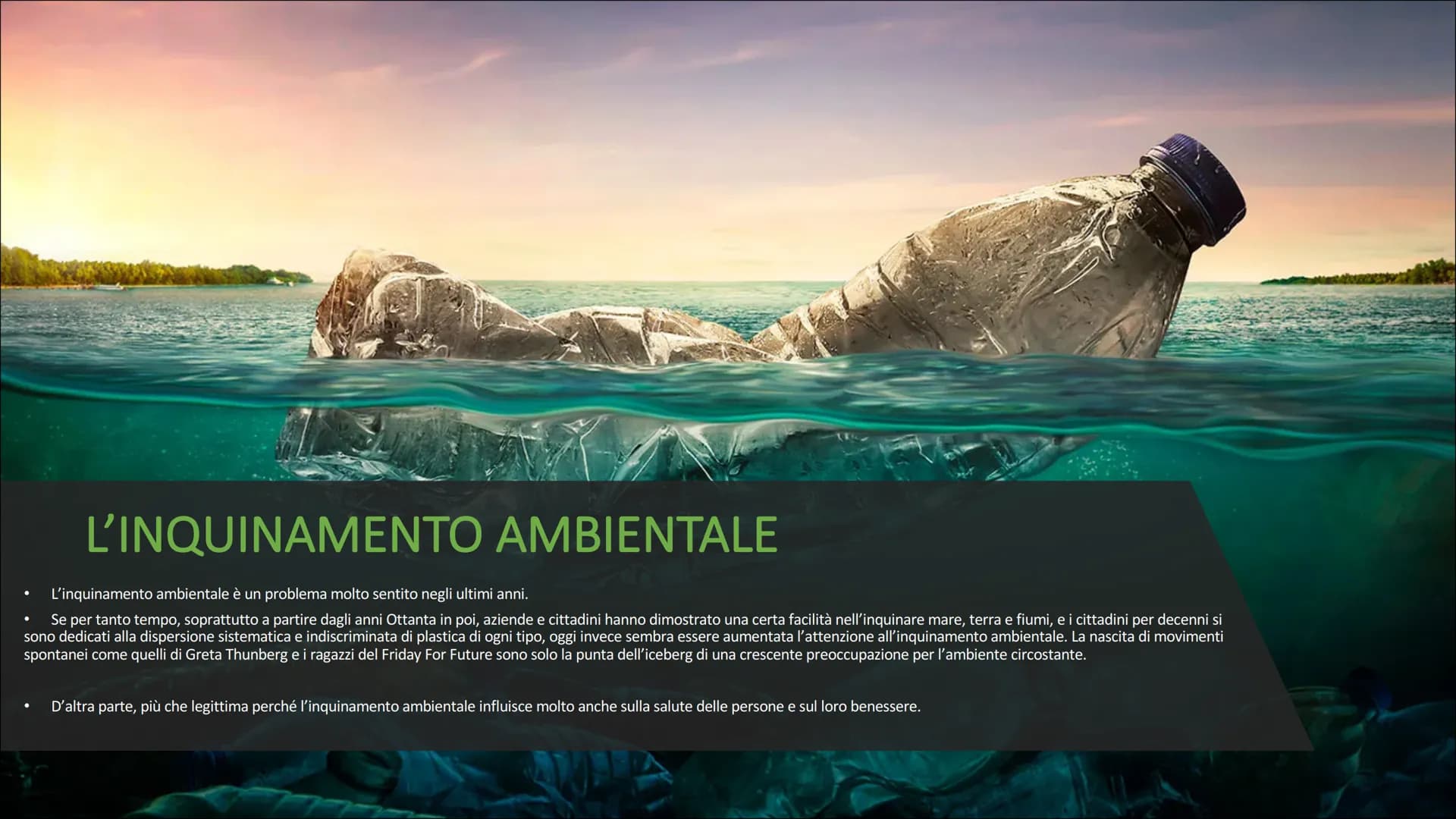 L'inquinamento ambientale è un problema molto sentito negli ultimi anni.
Se per tanto tempo, soprattutto a partire dagli anni Ottanta in poi
