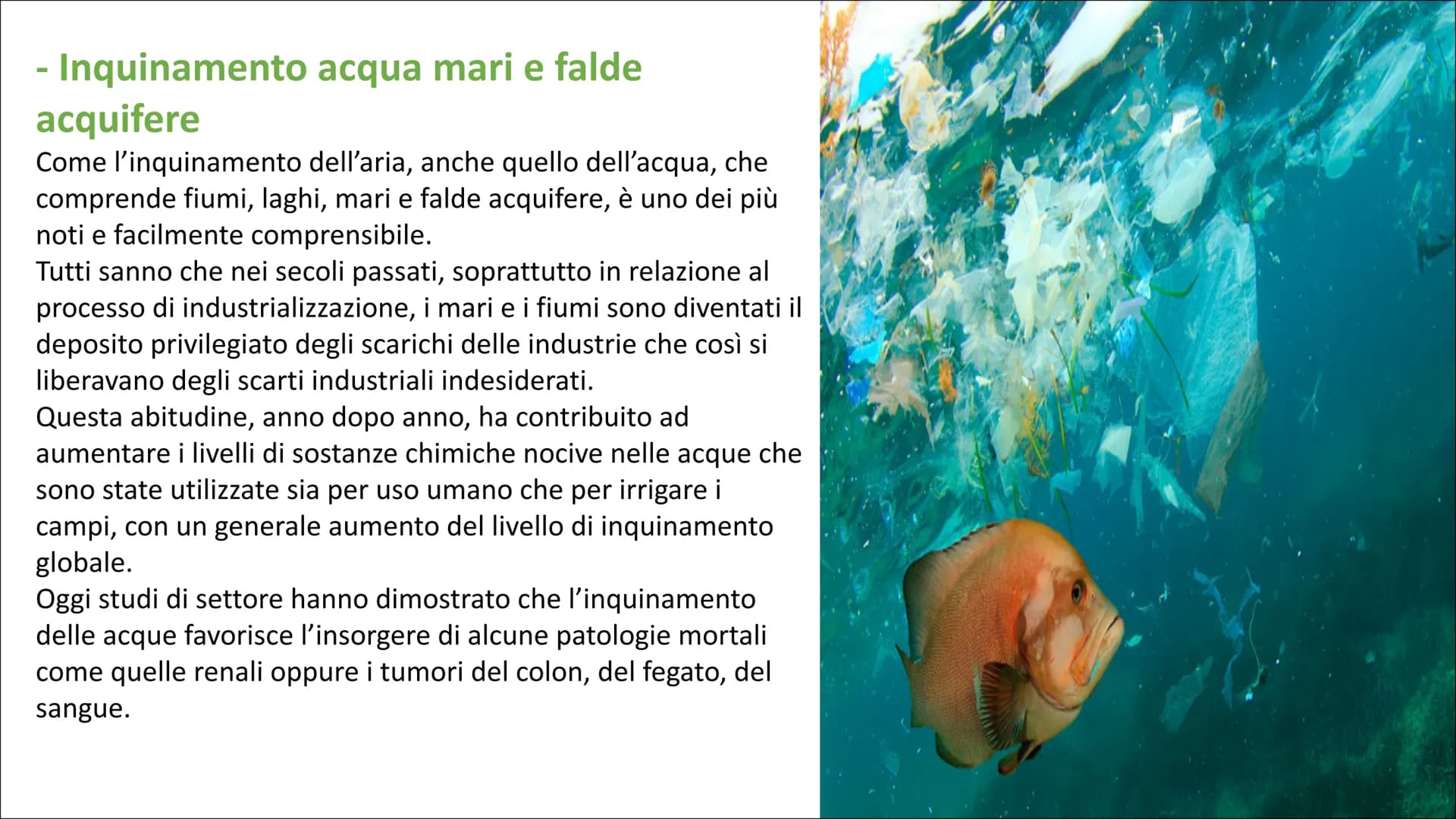 L'inquinamento ambientale è un problema molto sentito negli ultimi anni.
Se per tanto tempo, soprattutto a partire dagli anni Ottanta in poi
