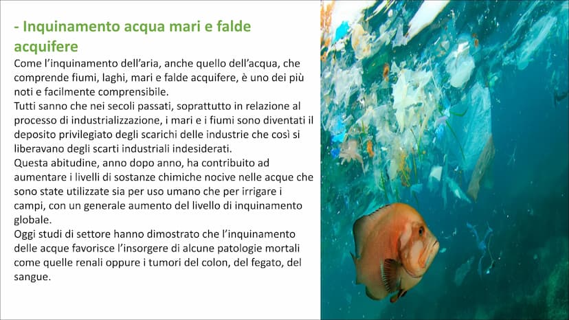 L'inquinamento ambientale è un problema molto sentito negli ultimi anni.
Se per tanto tempo, soprattutto a partire dagli anni Ottanta in poi