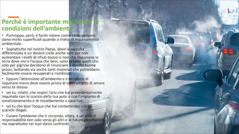 L'inquinamento ambientale è un problema molto sentito negli ultimi anni.
Se per tanto tempo, soprattutto a partire dagli anni Ottanta in poi