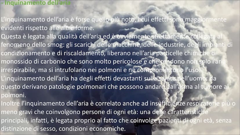 L'inquinamento ambientale è un problema molto sentito negli ultimi anni.
Se per tanto tempo, soprattutto a partire dagli anni Ottanta in poi