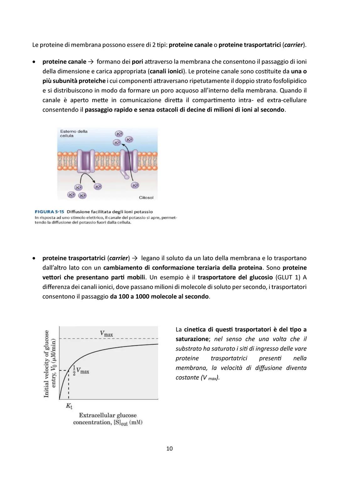 # LA MEMBRANA CELLULARE

1) FUNZIONI DELLA MEMBRANA CELLULARE

La membrana cellulare, anche chiamata membrana plasmatica o plasmalemma, è un