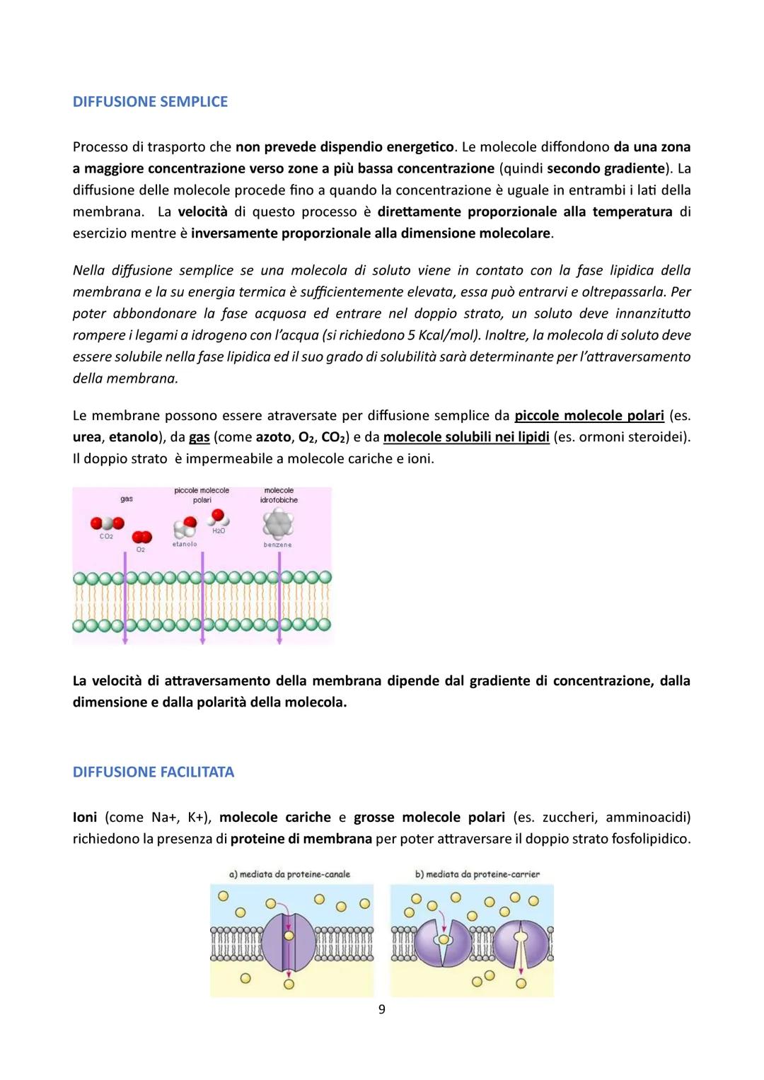 # LA MEMBRANA CELLULARE

1) FUNZIONI DELLA MEMBRANA CELLULARE

La membrana cellulare, anche chiamata membrana plasmatica o plasmalemma, è un