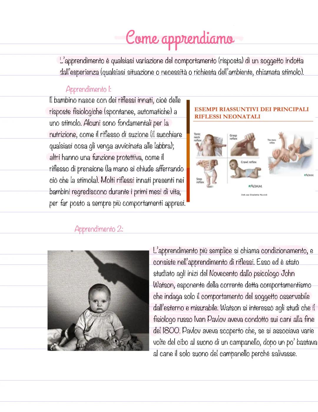 Come Apprendiamo: Scopri i Tipi di Apprendimento con Esempi