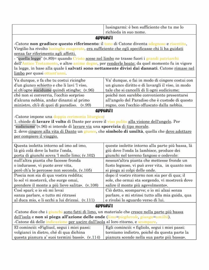 Purgatorio
Il Purgatorio è la II cantica della Divina commedia e ci troviamo nell'emisfero australe
o detto delle acque. Il centro dell'emis