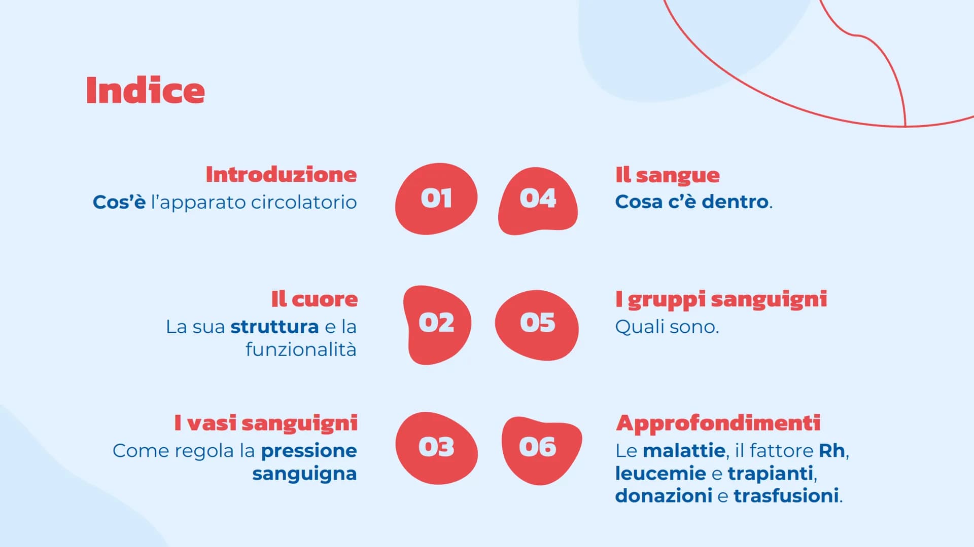 L'apparato
cardiovascolare
Come lavora il cuore.
= Indice
Introduzione
Cos'è l'apparato circolatorio
Il cuore
La sua struttura e la
funziona
