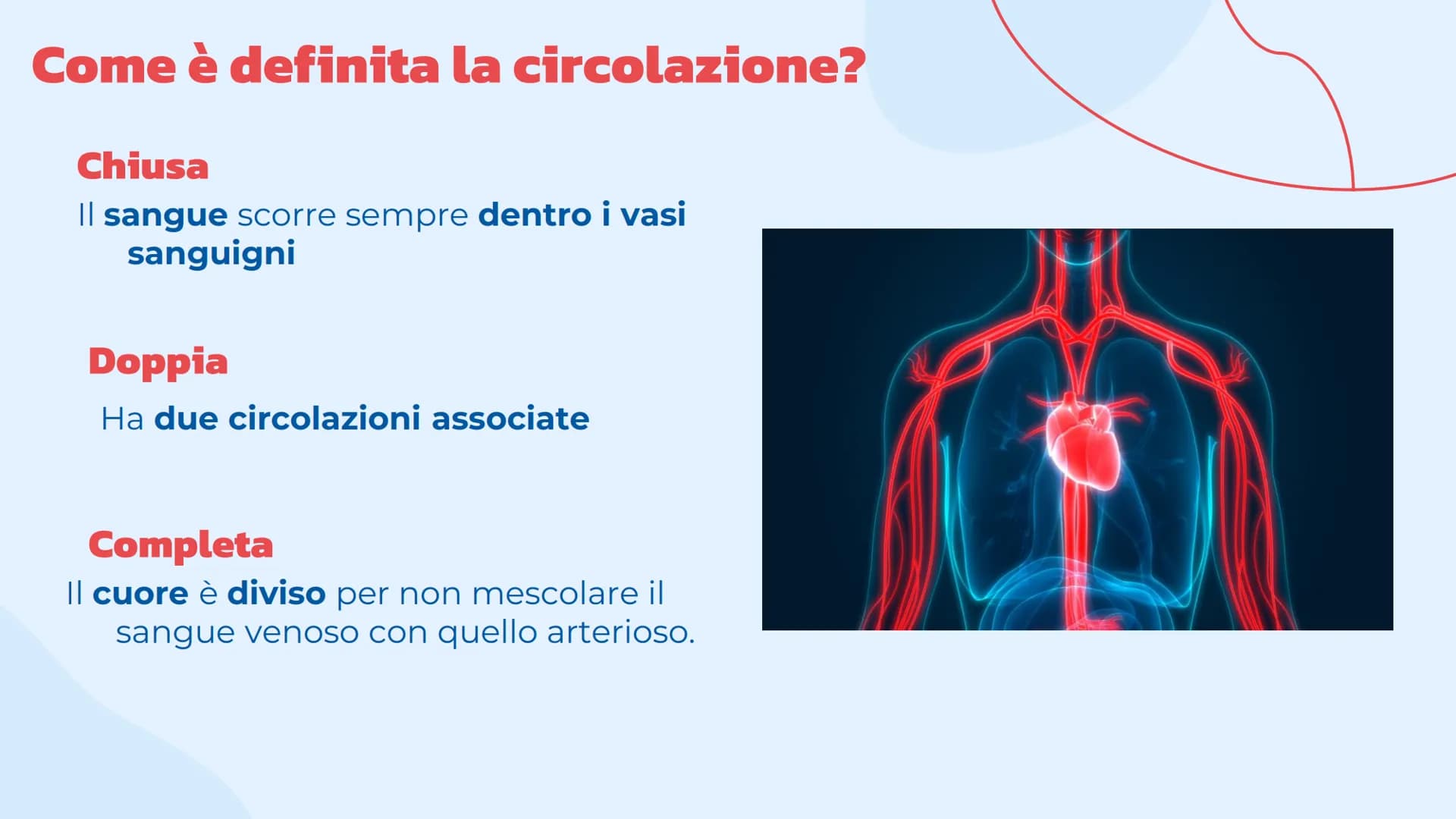 L'apparato
cardiovascolare
Come lavora il cuore.
= Indice
Introduzione
Cos'è l'apparato circolatorio
Il cuore
La sua struttura e la
funziona