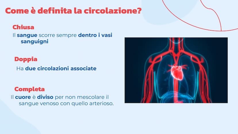 L'apparato
cardiovascolare
Come lavora il cuore.
= Indice
Introduzione
Cos'è l'apparato circolatorio
Il cuore
La sua struttura e la
funziona