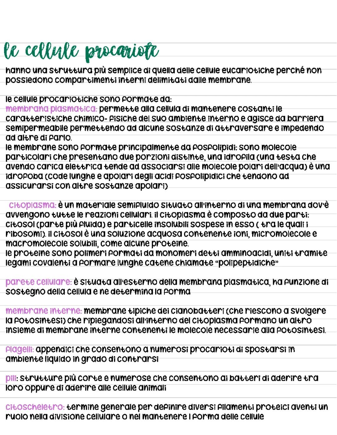 la cellula procariota ed eucariota/ la fotosintesi clorofilliana 