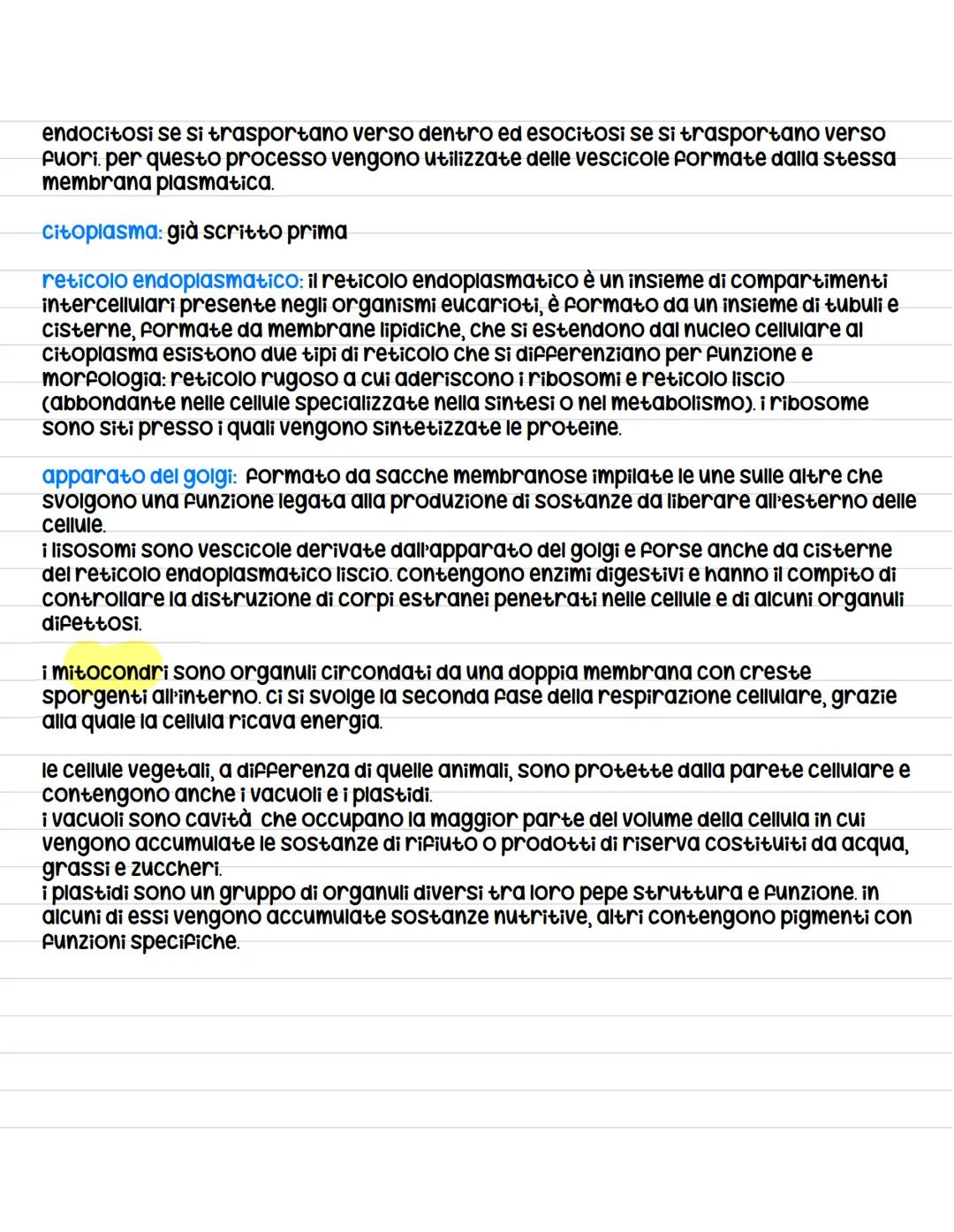le cellule procariote
hanno una struttura più semplice di quella delle cellule eucariotiche perché non
possiedono compartimenti interni deli