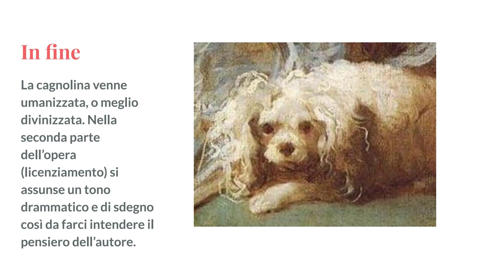 La vergine
cuccia

Bianca Maria De Angelis # Lo stile

È una poesia satirica di Parini scritta
nel 1763, si trova nel "giorno".
Inizialmente