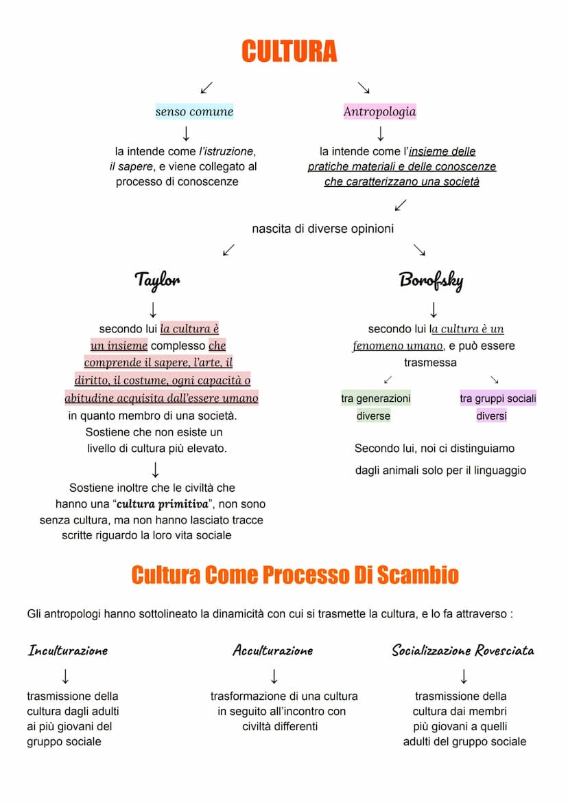 Antropologia
L'antropologia si è sviluppata nel 19 sec., e le prime indagini risalgono agli anni 50 dell'800.
↓
letteralmente scienza dell'u