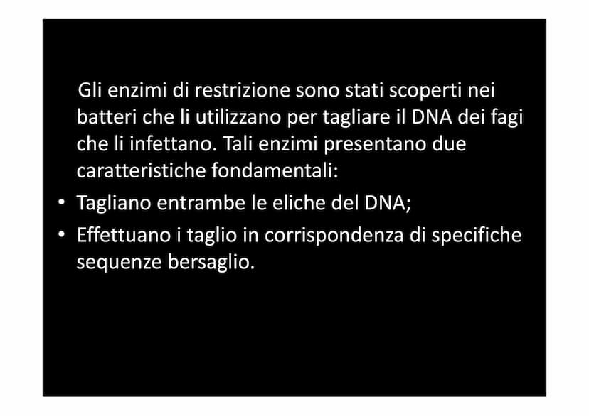 LE BIOTECNOLOGIE E L'INGEGNERIA
GENETICA
XXXXX
| |
L Con il termine biotecnologie si intende
l'utilizzo di organismi viventi, o parte di ess