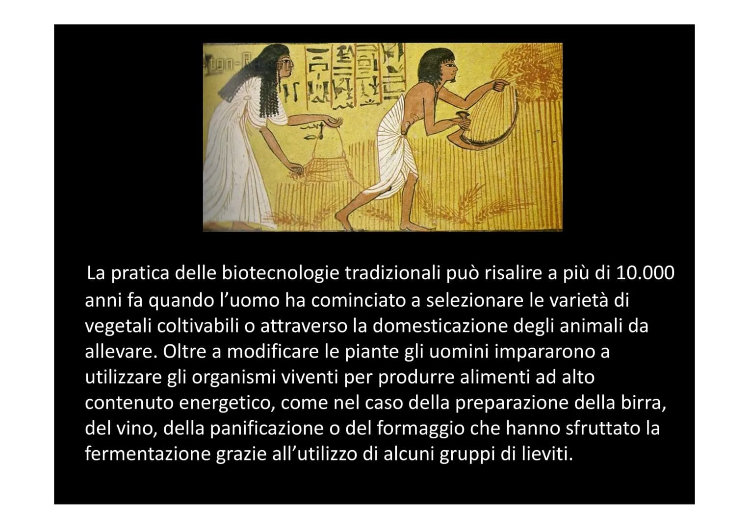 LE BIOTECNOLOGIE E L'INGEGNERIA
GENETICA
XXXXX
| |
L Con il termine biotecnologie si intende
l'utilizzo di organismi viventi, o parte di ess
