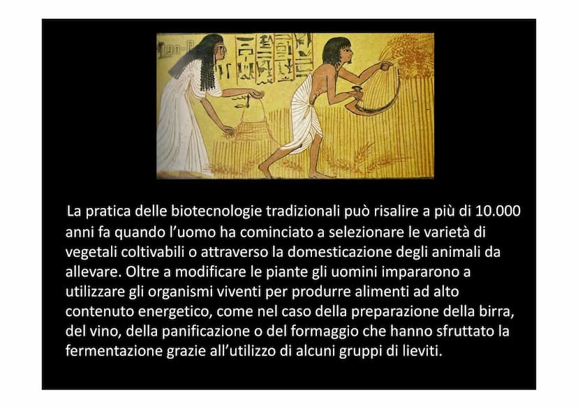 LE BIOTECNOLOGIE E L'INGEGNERIA
GENETICA
XXXXX
| |
L Con il termine biotecnologie si intende
l'utilizzo di organismi viventi, o parte di ess