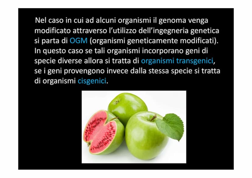 LE BIOTECNOLOGIE E L'INGEGNERIA
GENETICA
XXXXX
| |
L Con il termine biotecnologie si intende
l'utilizzo di organismi viventi, o parte di ess