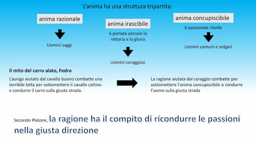 PLATONE Chi è Platone?
Nato da una delle più importanti famiglie di Atene, Platone era destinato all'impegno politico e
amministrativo. Ques