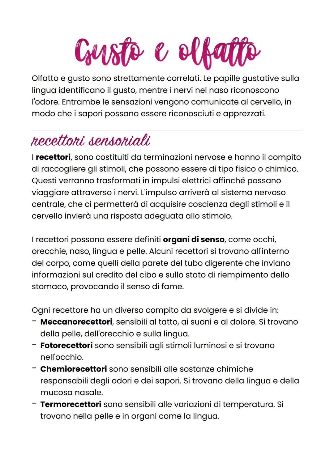 Gusto e olfatto
Olfatto e gusto sono strettamente correlati. Le papille gustative sulla
lingua identificano il gusto, mentre i nervi nel nas