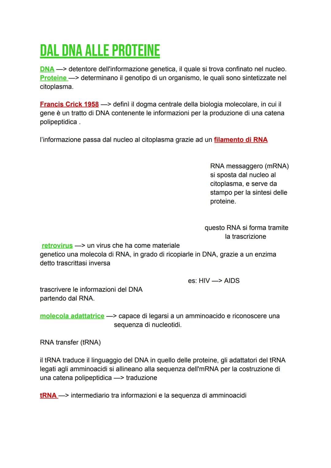 DAL DNA ALLE PROTEINE
DNA -> detentore dell'informazione genetica, il quale si trova confinato nel nucleo.
Proteine > determinano il genotip