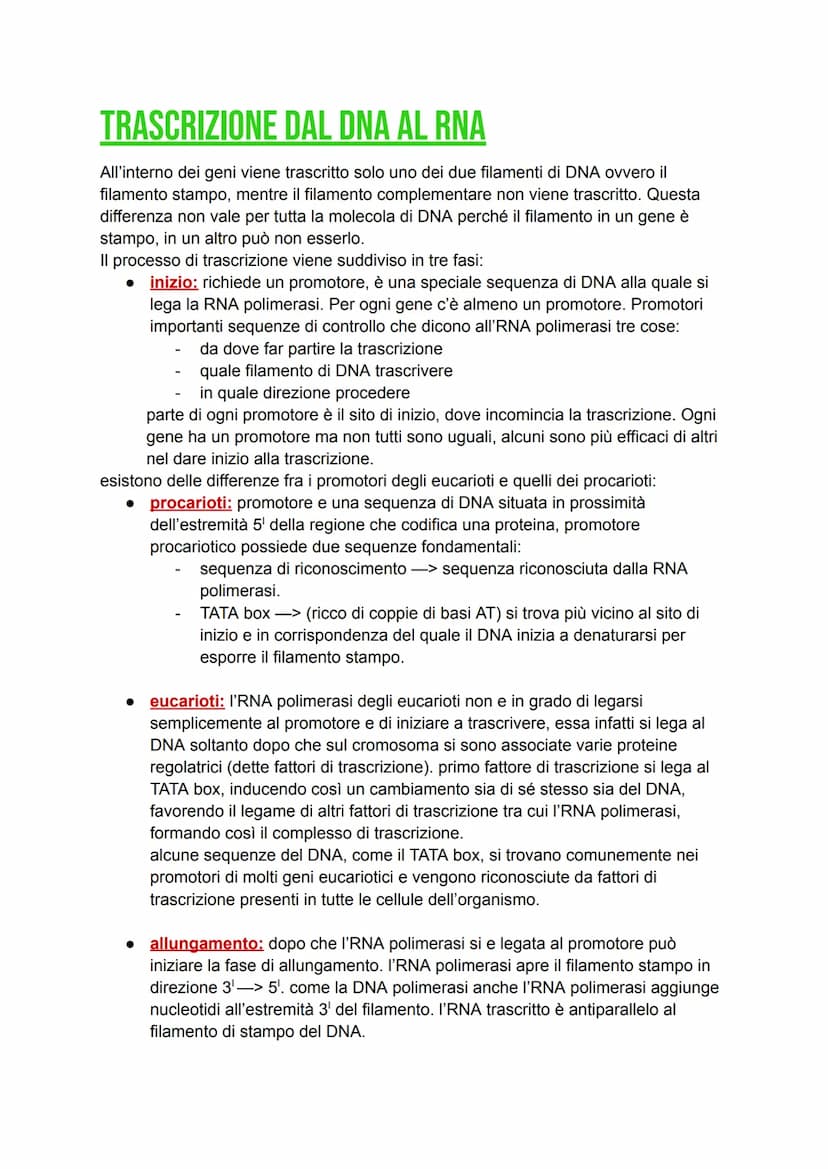 DAL DNA ALLE PROTEINE
DNA -> detentore dell'informazione genetica, il quale si trova confinato nel nucleo.
Proteine > determinano il genotip