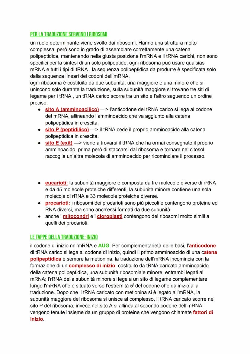DAL DNA ALLE PROTEINE
DNA -> detentore dell'informazione genetica, il quale si trova confinato nel nucleo.
Proteine > determinano il genotip