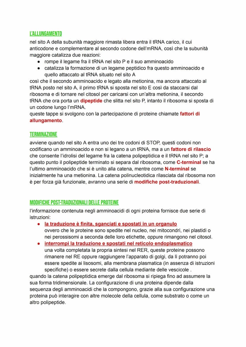 DAL DNA ALLE PROTEINE
DNA -> detentore dell'informazione genetica, il quale si trova confinato nel nucleo.
Proteine > determinano il genotip