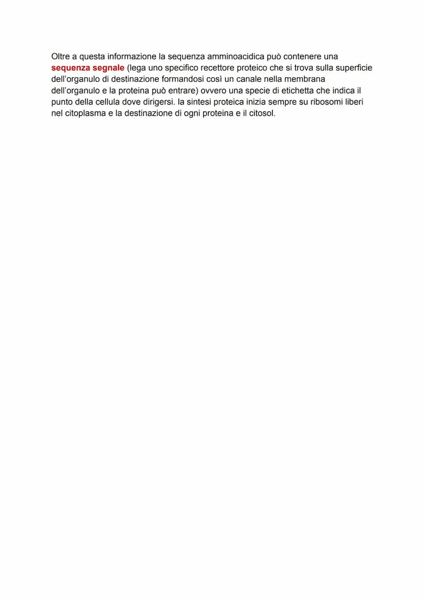 DAL DNA ALLE PROTEINE
DNA -> detentore dell'informazione genetica, il quale si trova confinato nel nucleo.
Proteine > determinano il genotip